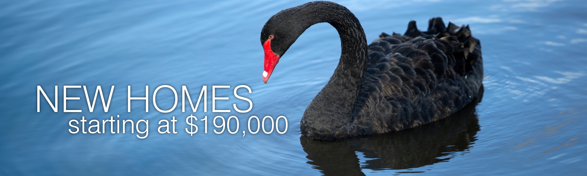 5 Open House Models To View